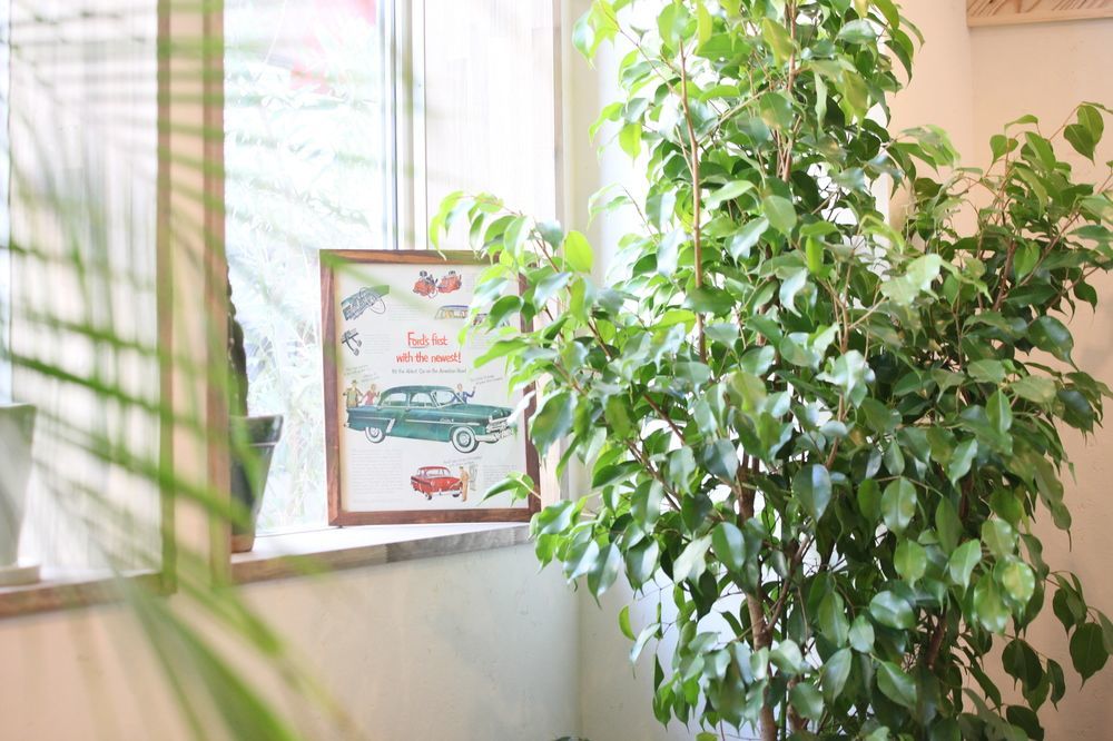 North Front Hostel Fukuchiyama Exterior photo